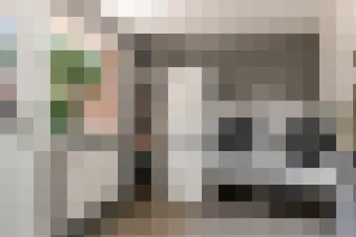 Hofstraat 4 Beltrum thumbnail 43