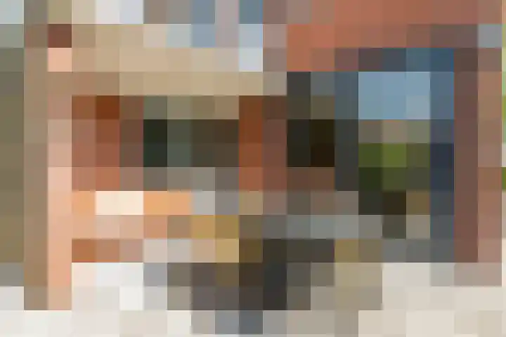 Hofstraat 4 Beltrum thumbnail 44