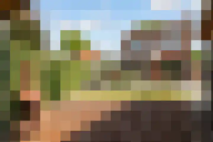 Hofstraat 4 Beltrum thumbnail 45