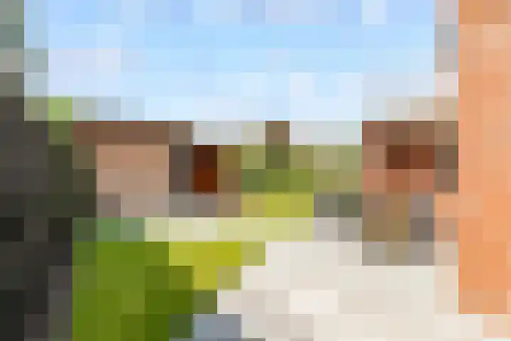 Hofstraat 4 Beltrum thumbnail 46