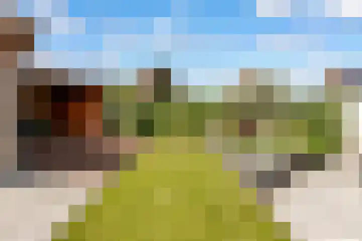 Hofstraat 4 Beltrum thumbnail 48
