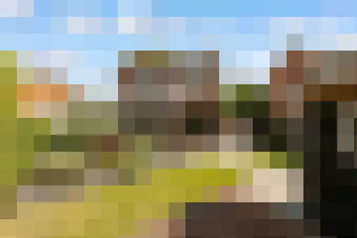 Hofstraat 4 Beltrum thumbnail 54