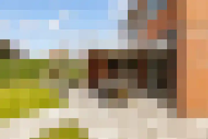 Hofstraat 4 Beltrum thumbnail 56