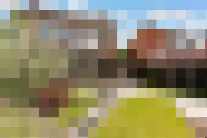 Hofstraat 4 Beltrum thumbnail 57