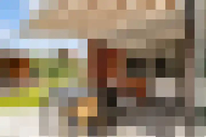 Hofstraat 4 Beltrum thumbnail 58