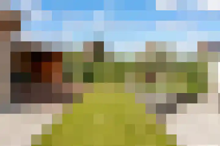 Hofstraat 4 Beltrum thumbnail 6