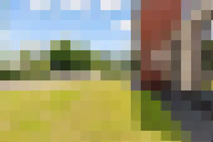 Hofstraat 4 Beltrum thumbnail 60