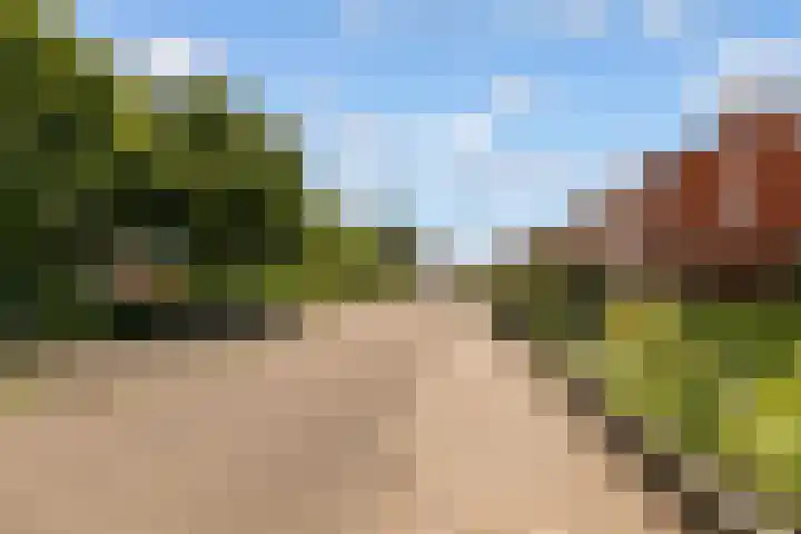 Hofstraat 4 Beltrum thumbnail 61