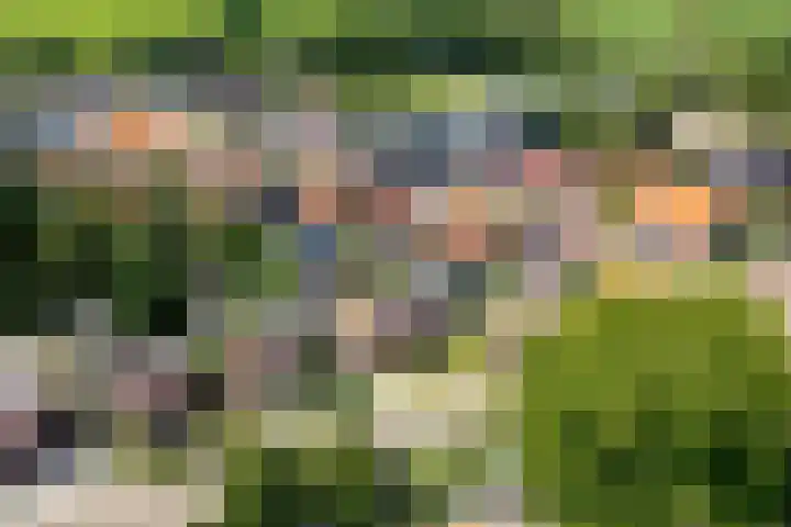 Hofstraat 4 Beltrum thumbnail 64