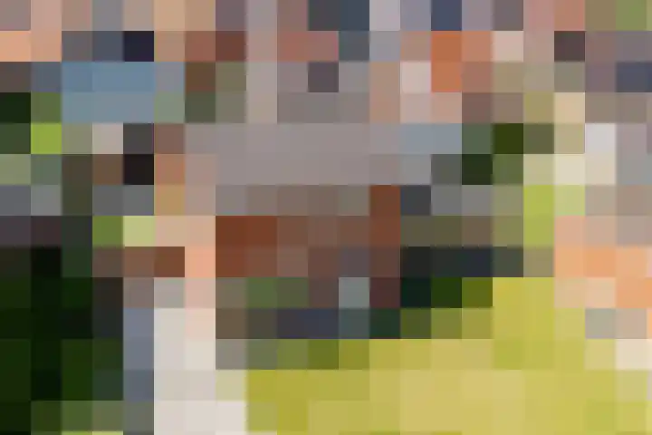Hofstraat 4 Beltrum thumbnail 65