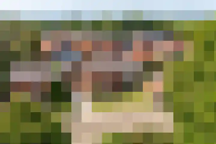 Hofstraat 4 Beltrum thumbnail 66