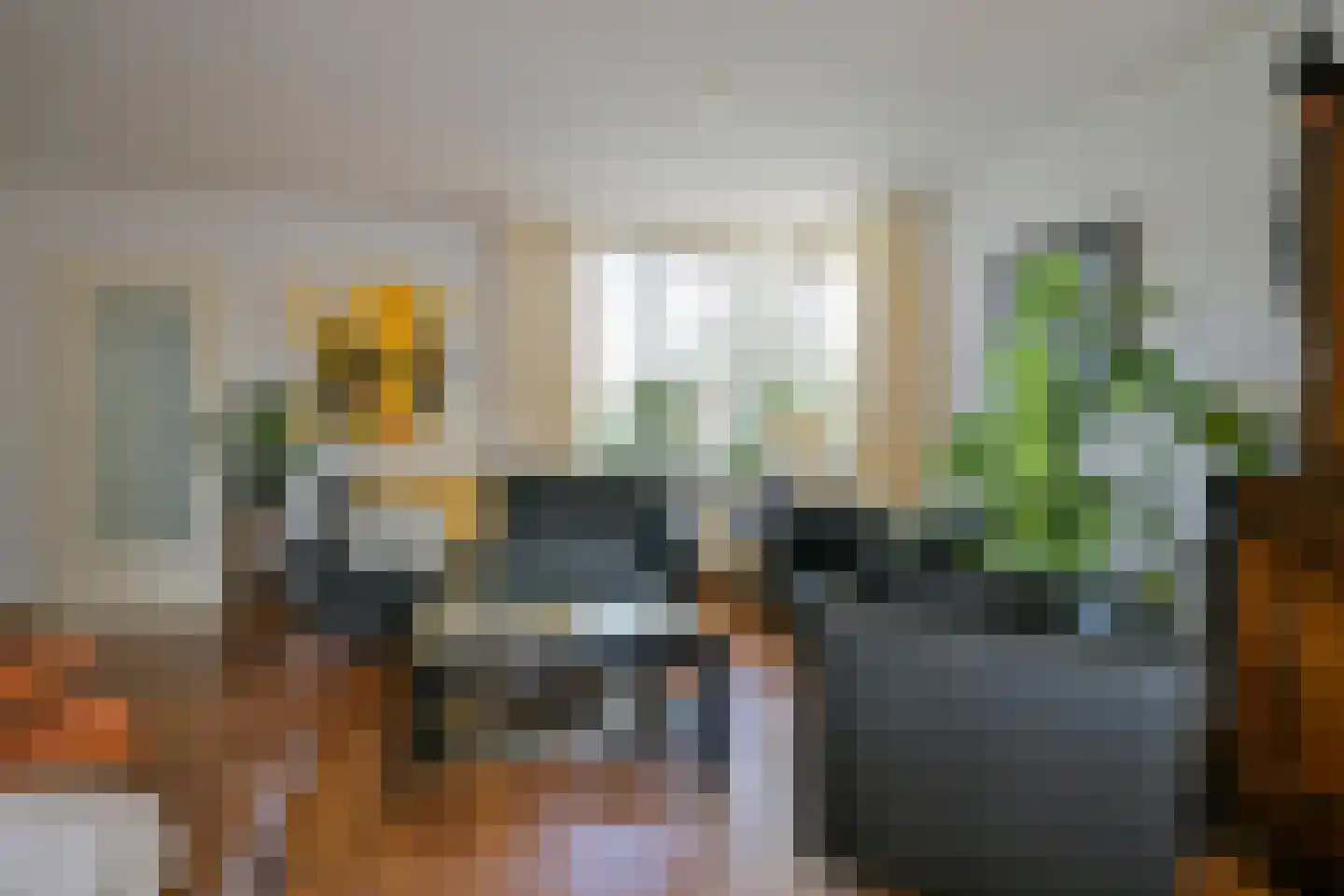 Hofstraat 4 Born thumbnail 11