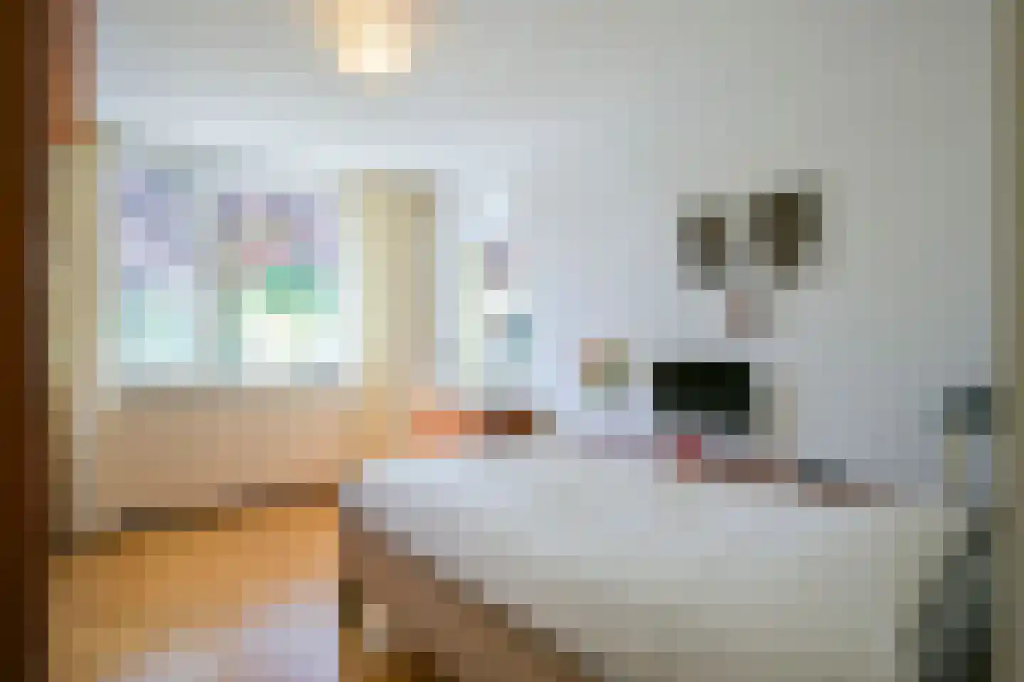 Hofstraat 4 Born thumbnail 21