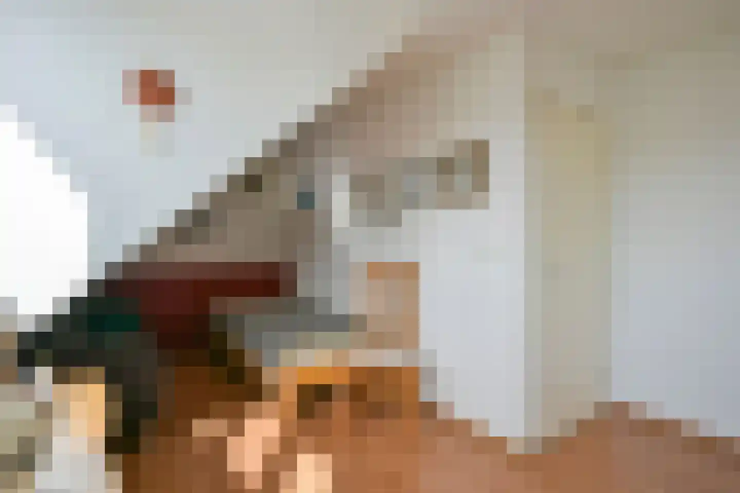 Hofstraat 4 Born thumbnail 28