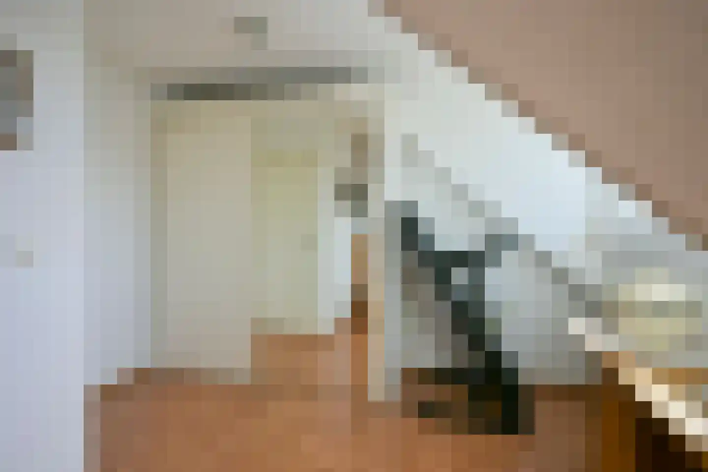 Hofstraat 4 Born thumbnail 29