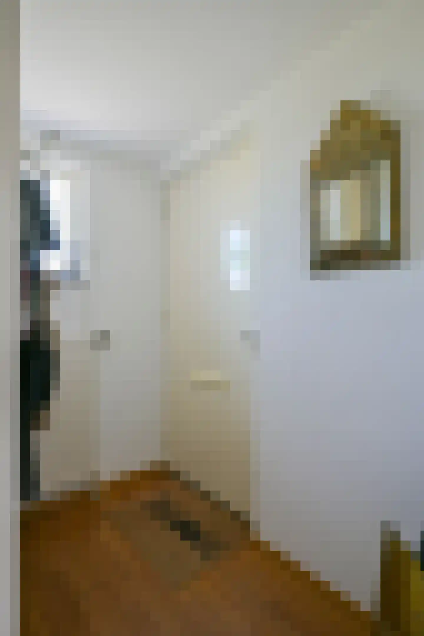 Hofstraat 4 Born thumbnail 7