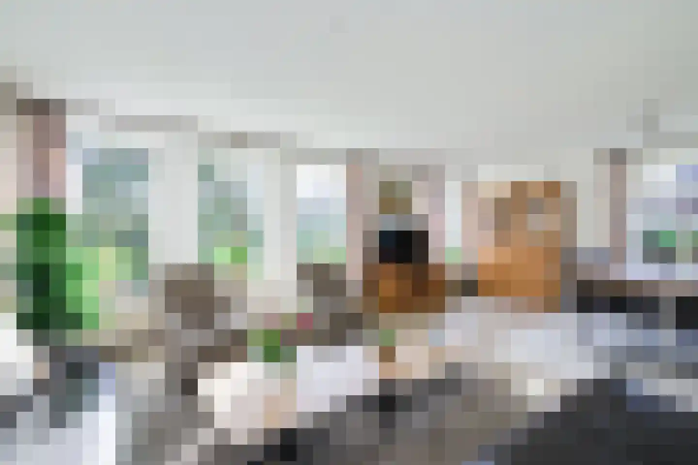 Hofstraat 4 Halle thumbnail 18