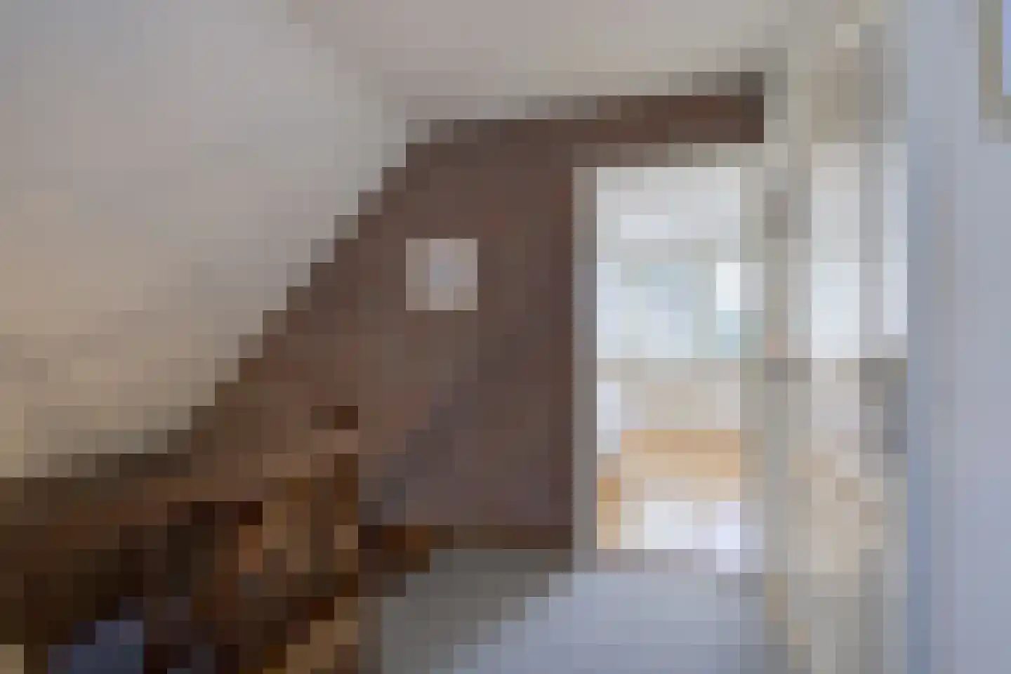 Hofstraat 4 Halle thumbnail 31
