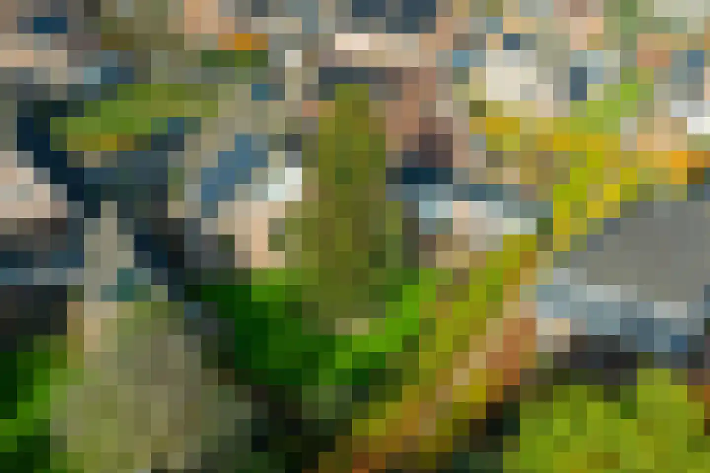 Hofstraat 4 Halle thumbnail 43