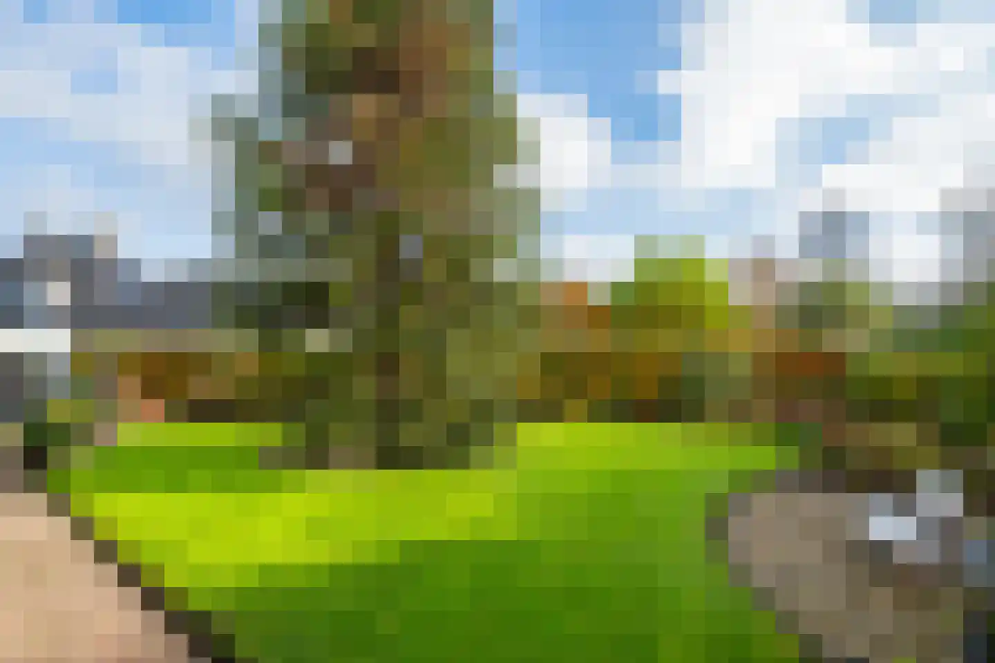 Hofstraat 4 Halle thumbnail 5