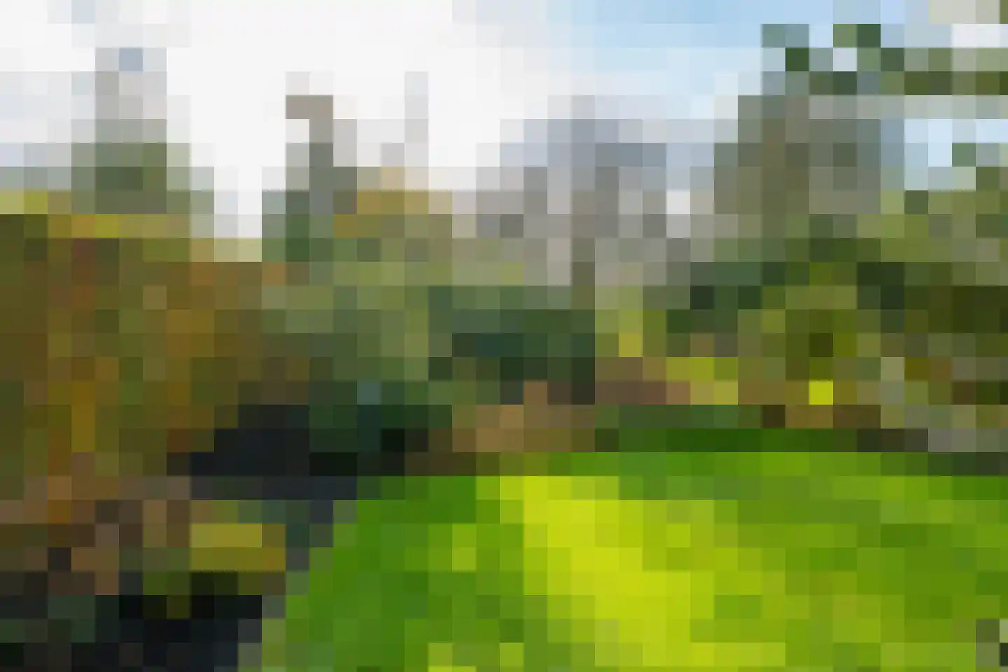 Hofstraat 4 Halle thumbnail 51