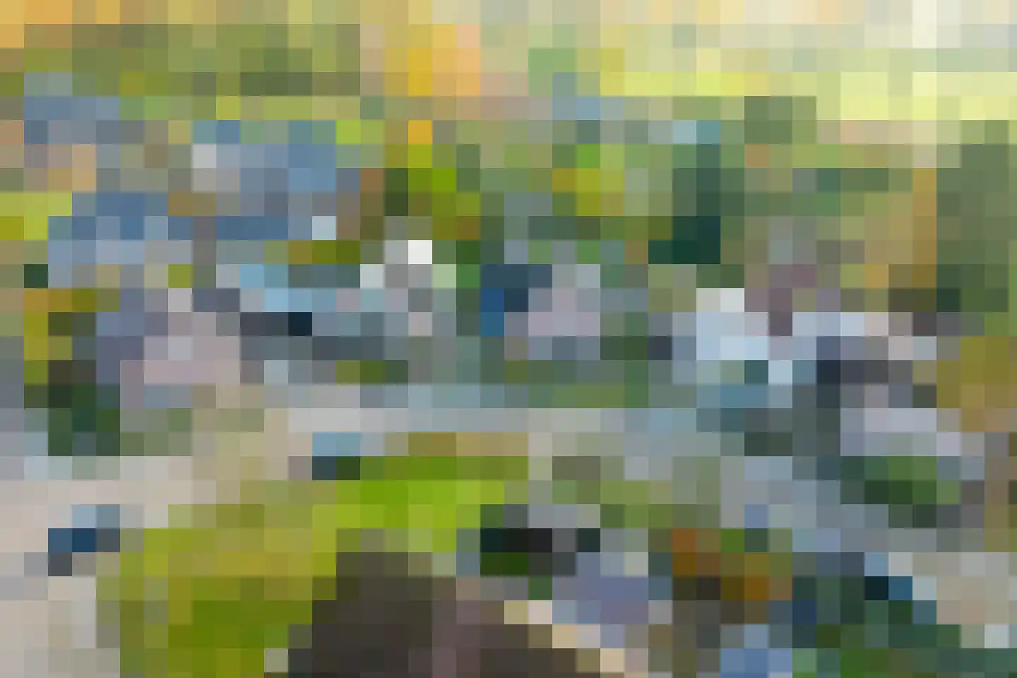 Hofstraat 4 Halle thumbnail 6