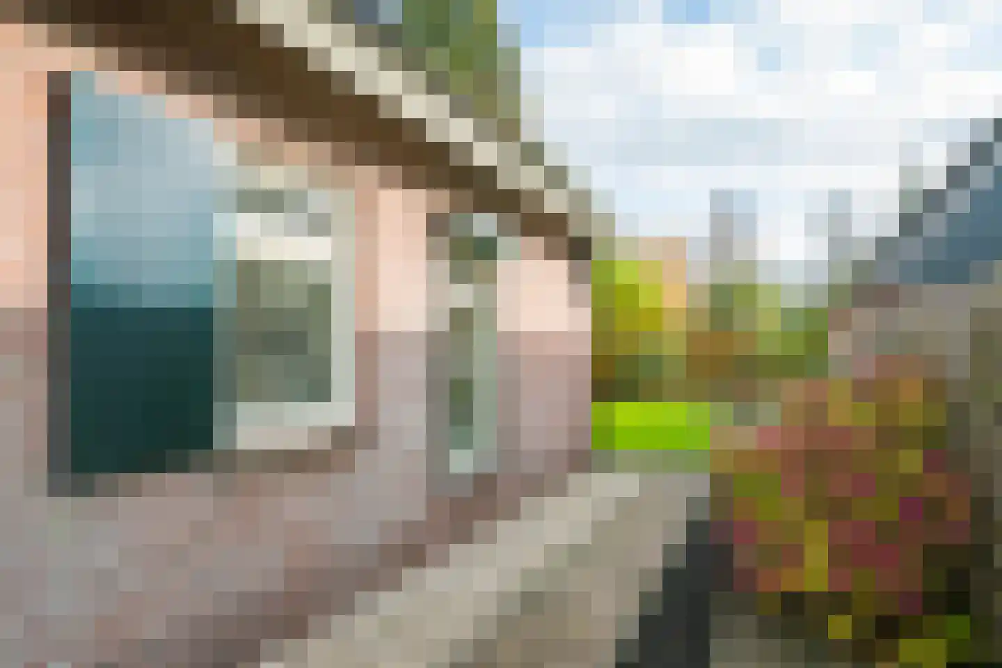 Hofstraat 4 Halle thumbnail 9