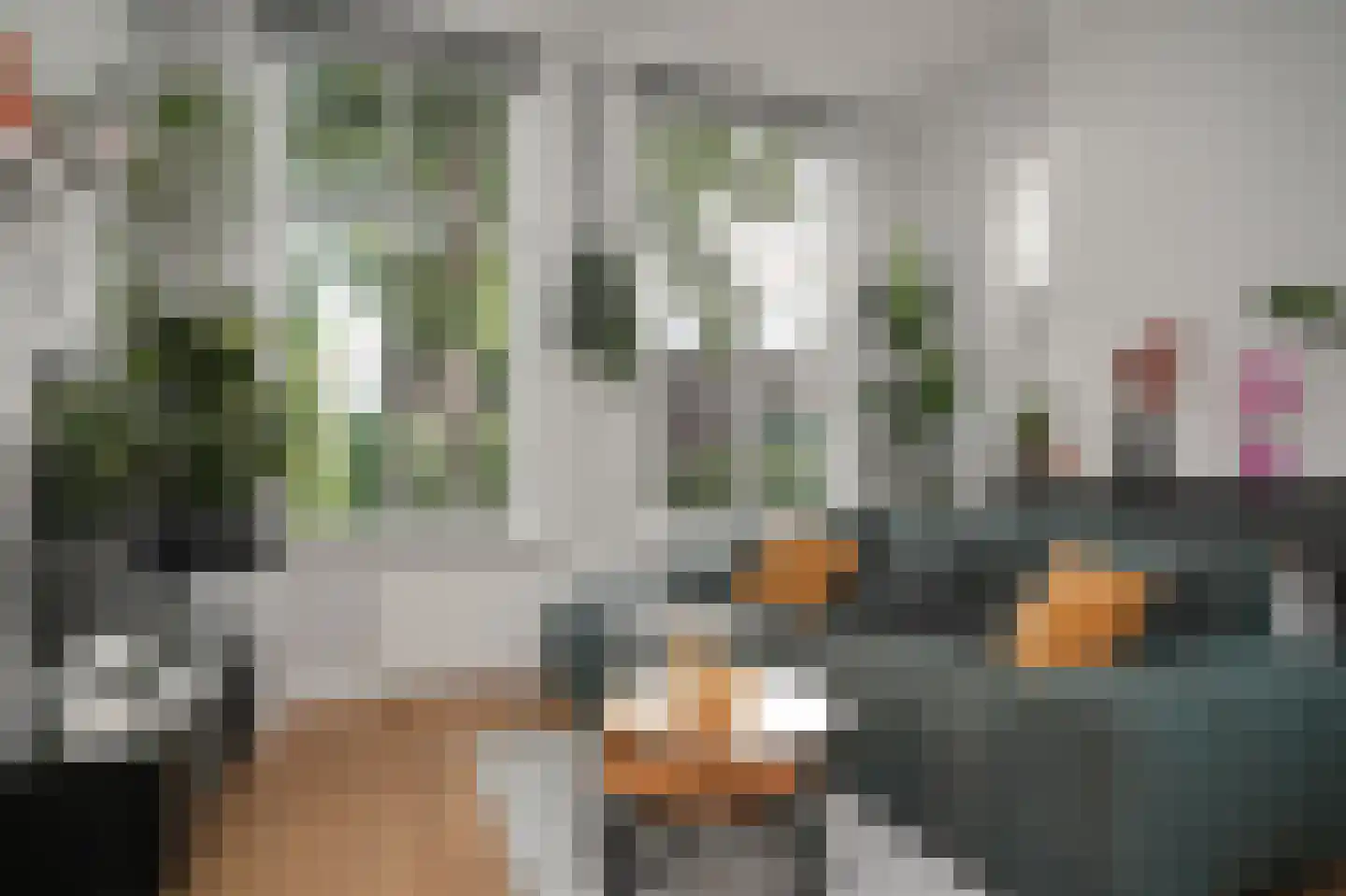 Hofstraat 4 Utrecht thumbnail 5