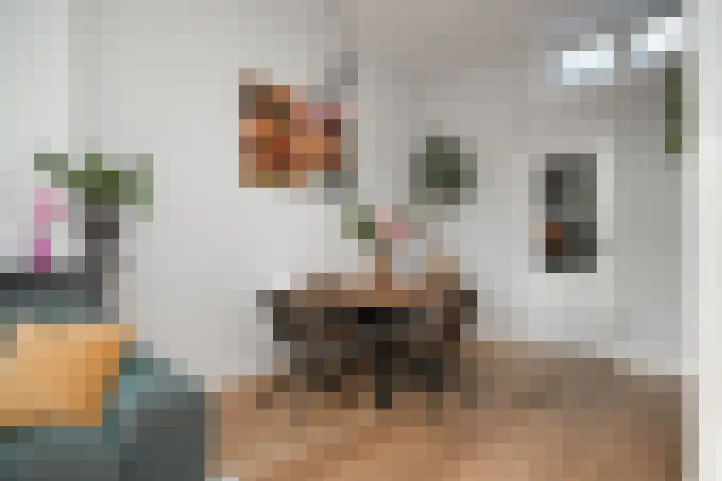 Hofstraat 4 Utrecht thumbnail 8