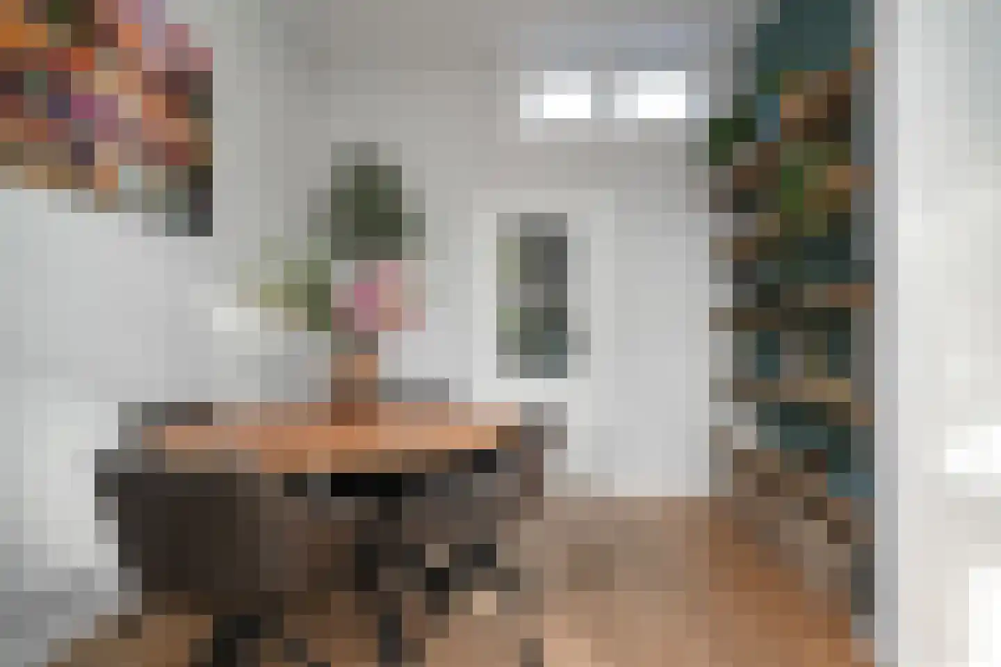 Hofstraat 4 Utrecht thumbnail 9