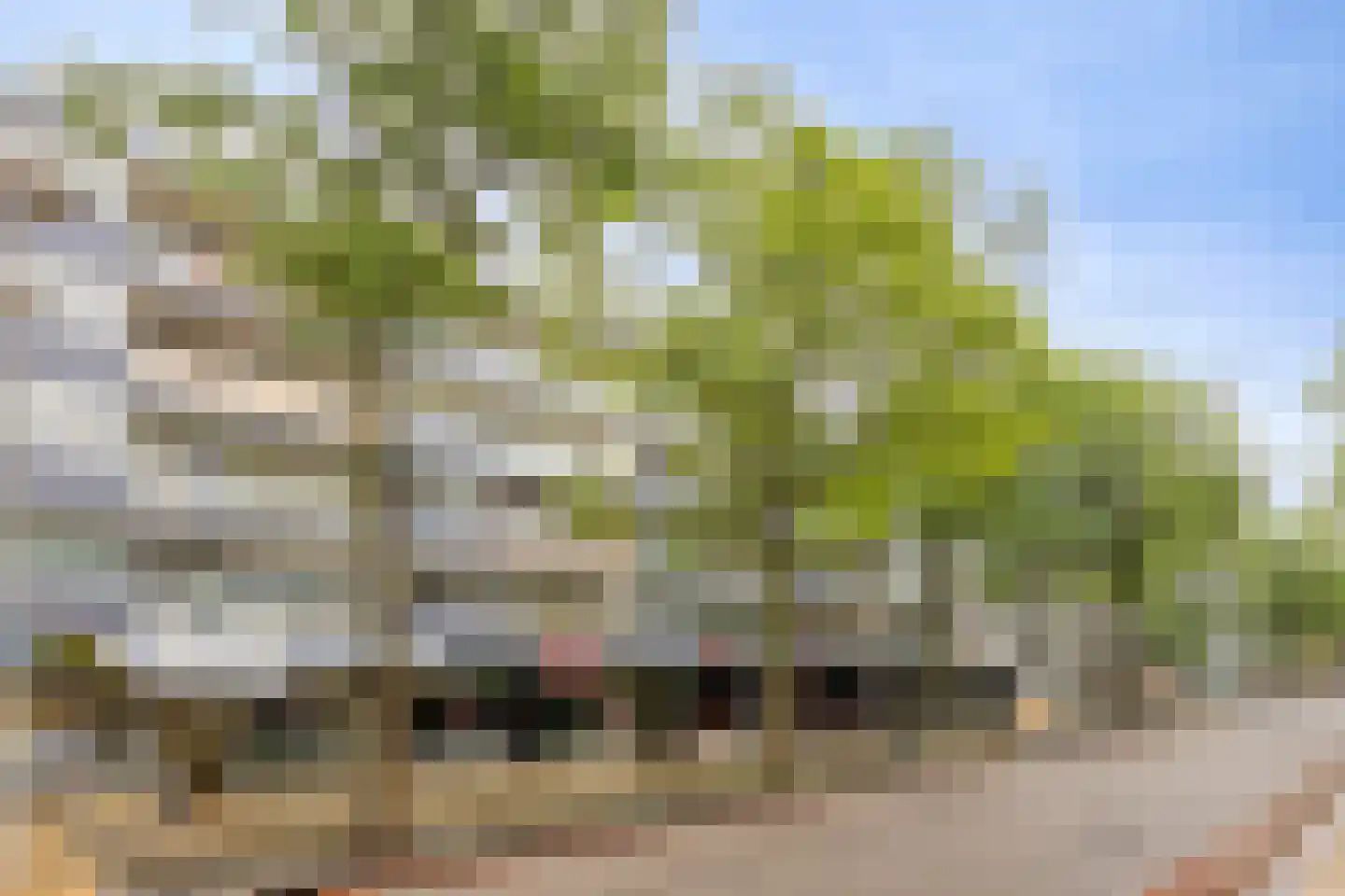 Hofstraat 48 Apeldoorn thumbnail 23
