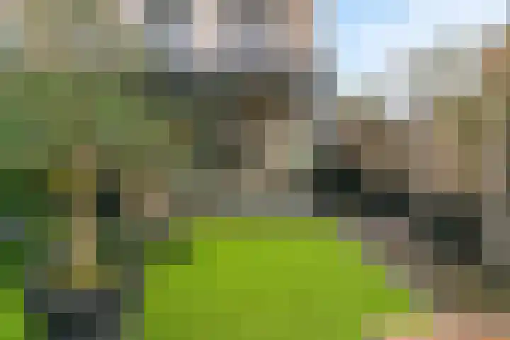 Hofstraat 5 Zevenhoven thumbnail 35
