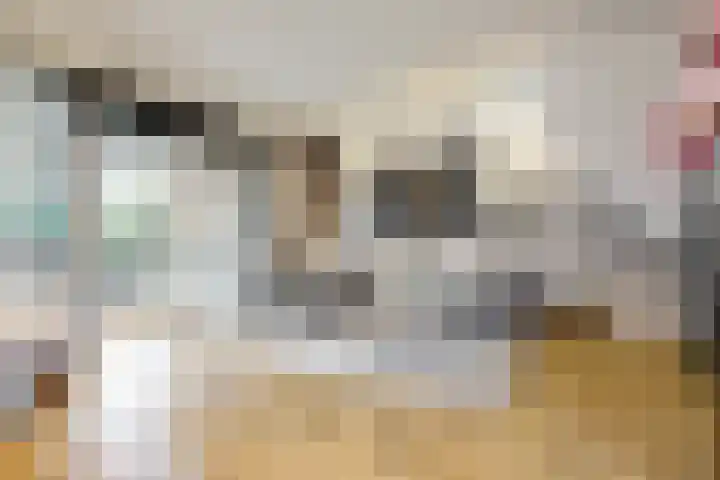 Hofstraat 5 Zevenhoven thumbnail 5