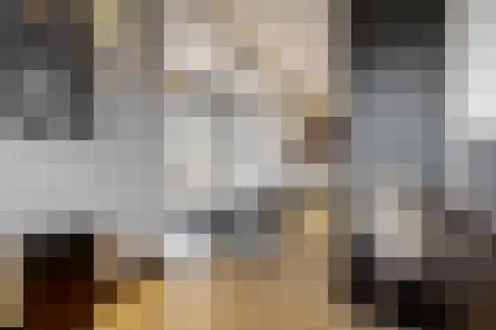 Hofstraat 5 Zevenhoven thumbnail 8