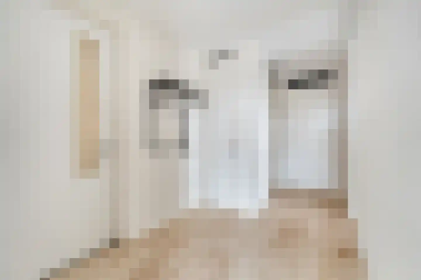 Hofstraat 53 Schagen thumbnail 5