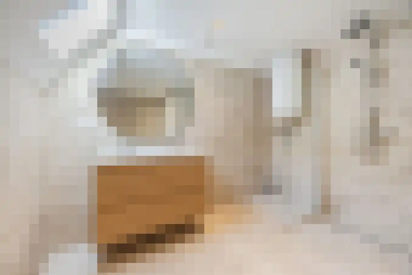 Hofstraat 54 A Honselersdijk thumbnail 35