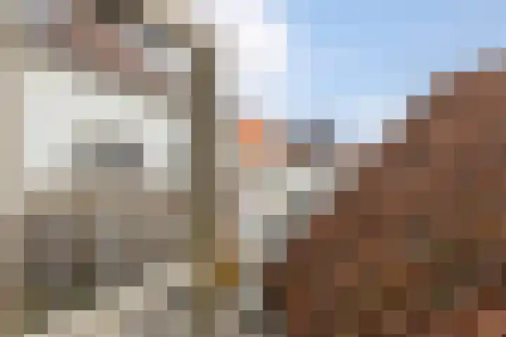 Hofstraat 6 Bergen op Zoom thumbnail 31