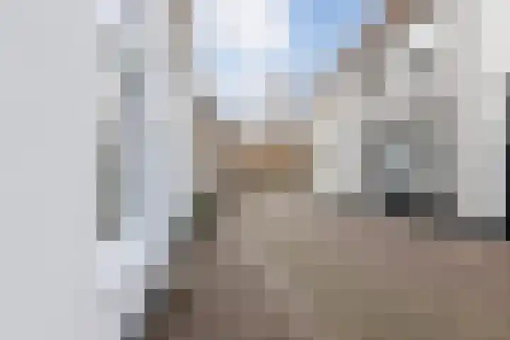 Hofstraat 6 Bergen op Zoom thumbnail 39