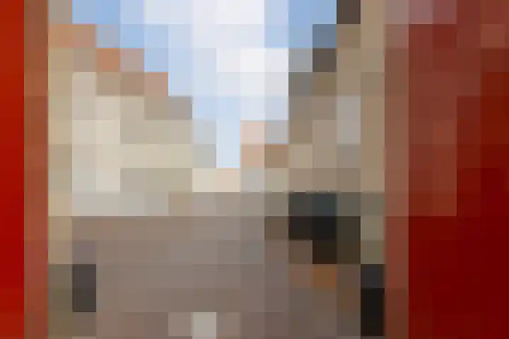 Hofstraat 6 Bergen op Zoom thumbnail 41