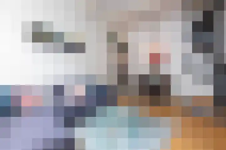 Hofstraat 6 Bergen op Zoom thumbnail 8
