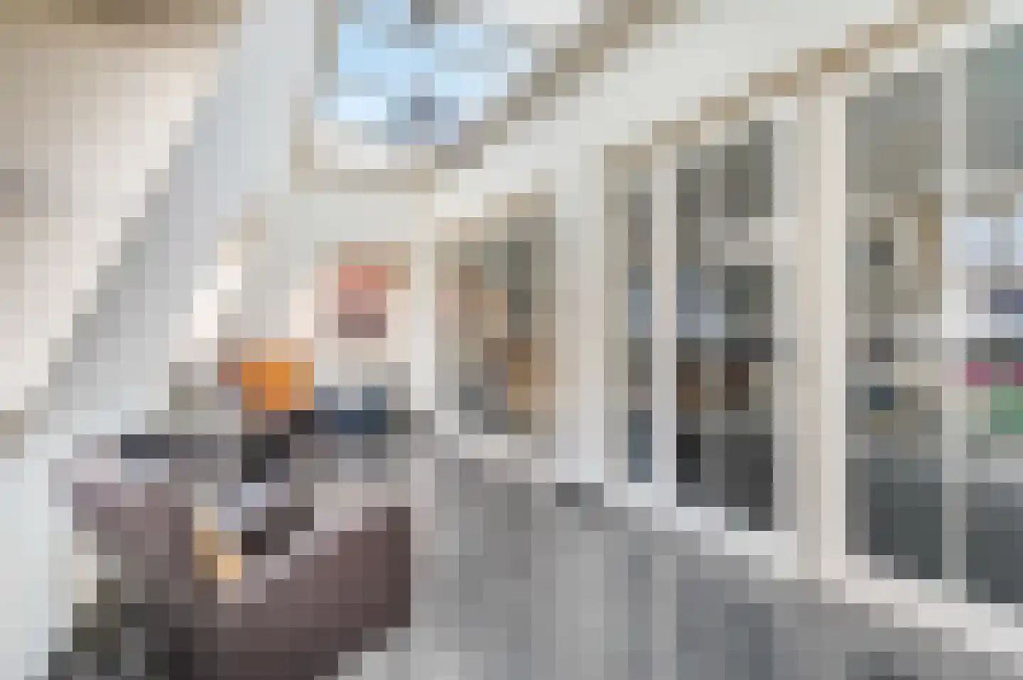 Hofstraat 6 Rhenen thumbnail 10