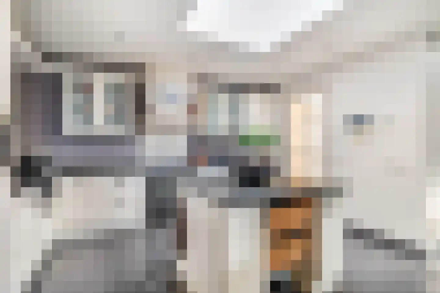 Hofstraat 6 Rhenen thumbnail 12