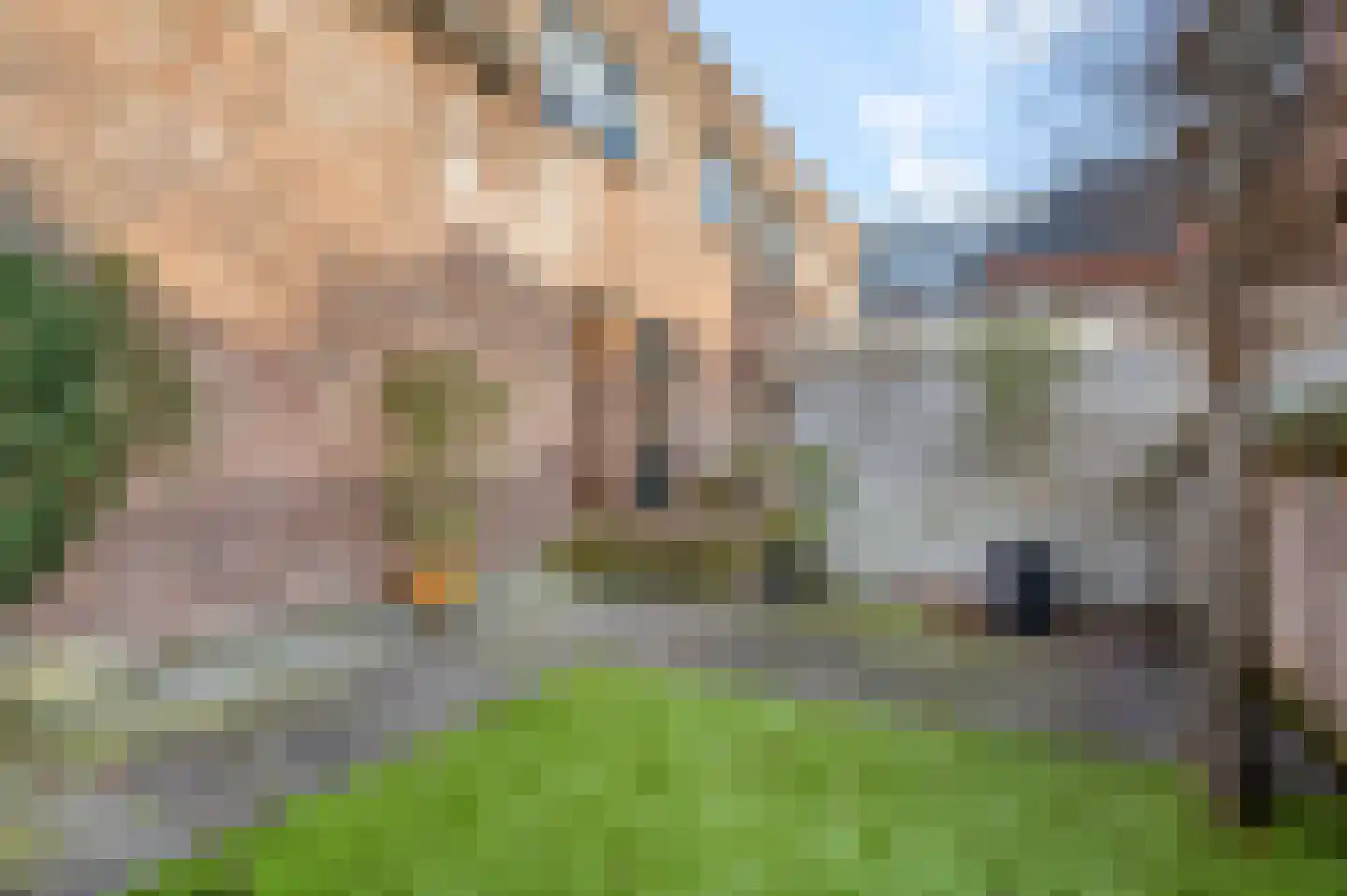 Hofstraat 6 Rhenen thumbnail 36