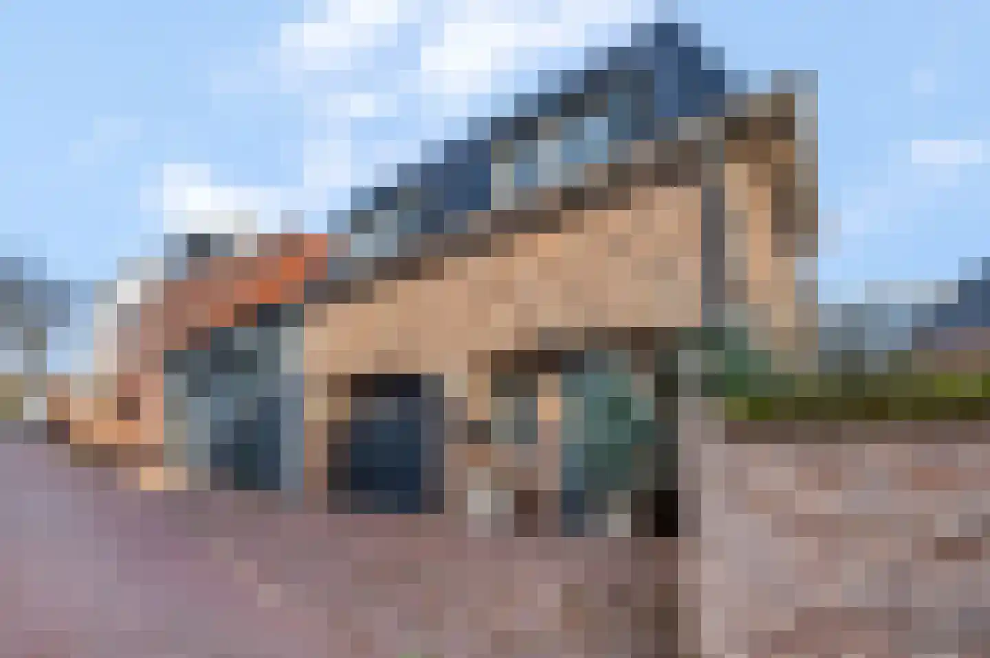 Hofstraat 6 Rhenen thumbnail 39