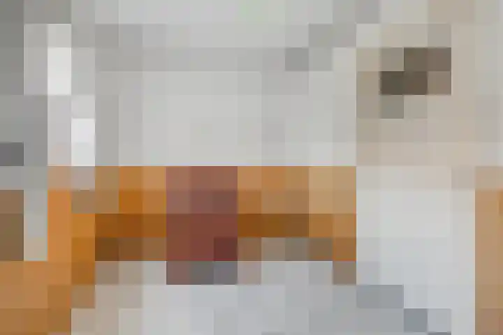 Hofstraat 6 Sprundel thumbnail 15