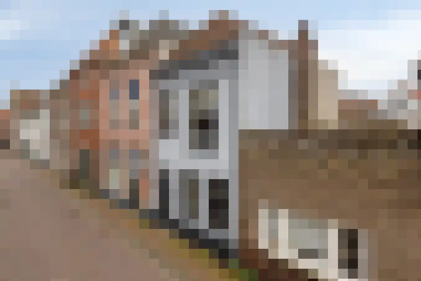Hofstraat 68 Kampen thumbnail 20