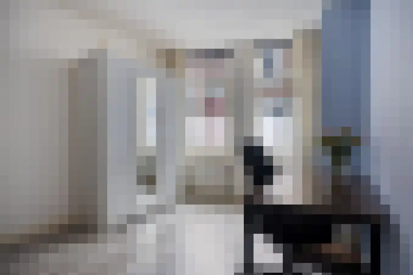 Hofstraat 68 Kampen thumbnail 5