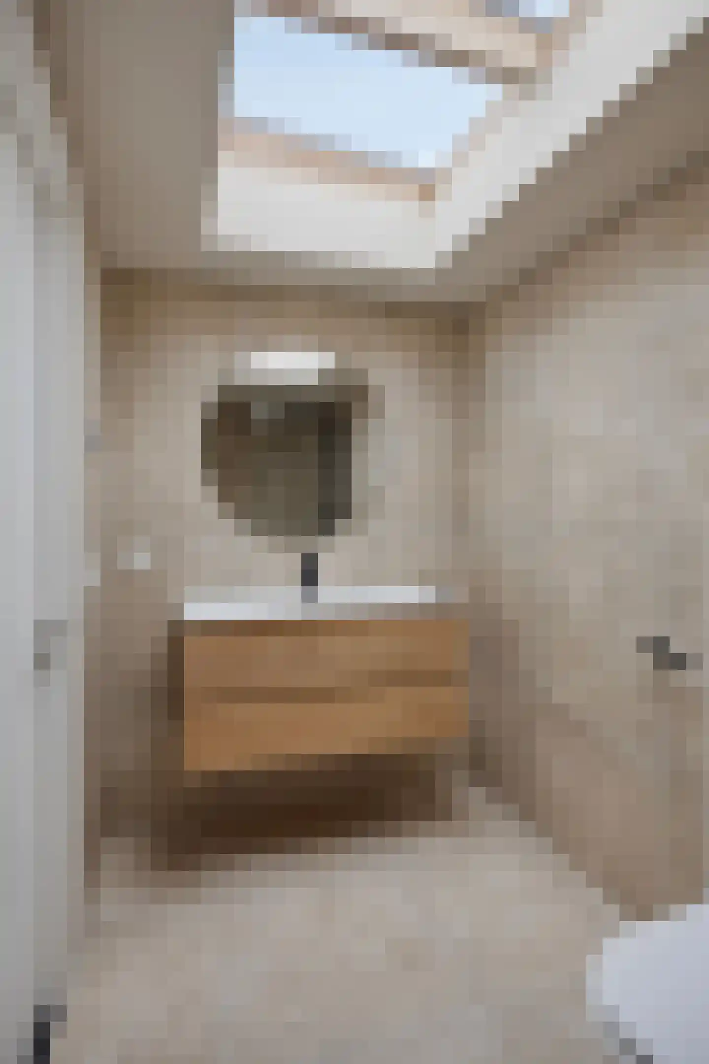 Hofstraat 7 A Alkmaar thumbnail 16