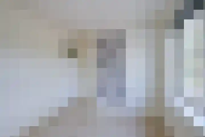 Hofstraat 7 Schagen thumbnail 23