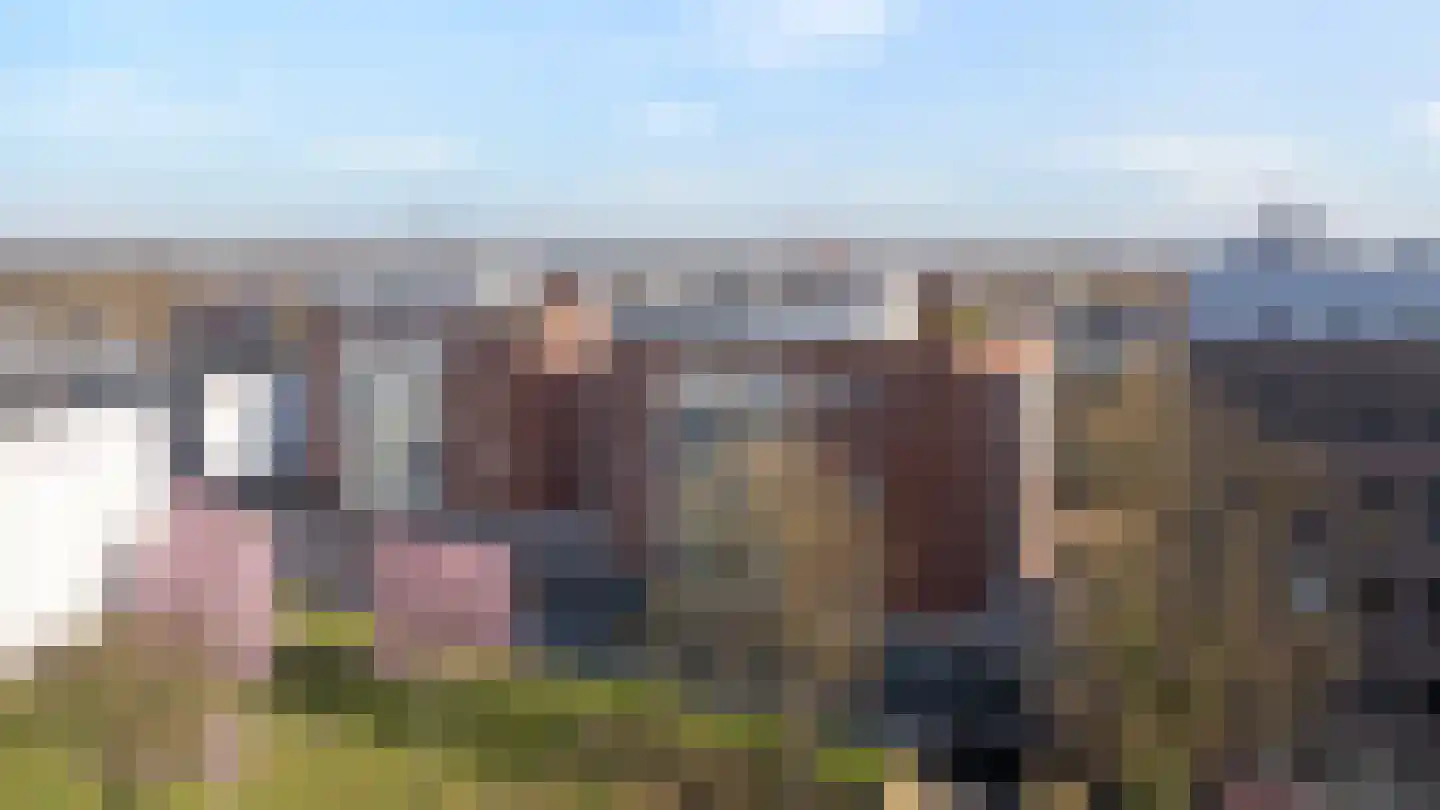 Hofstraat 79 Doetinchem thumbnail 47